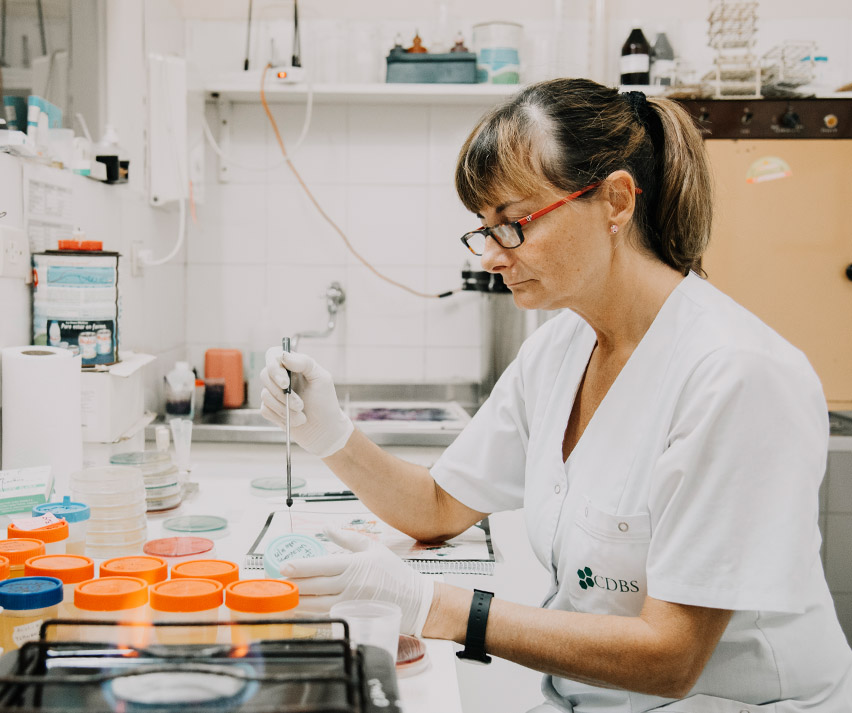 Laboratorio Sáenz